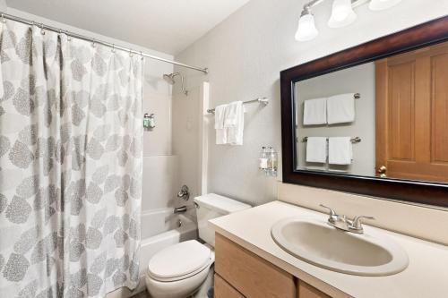 a bathroom with a sink and a toilet and a mirror at LOGE Alta Crystal in Enumclaw