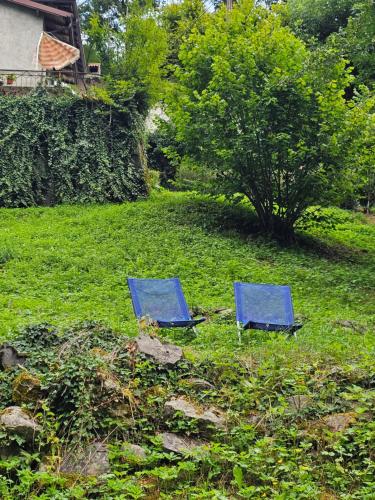 Zahrada ubytování Rustico Leonardo - la dolce vita italiana