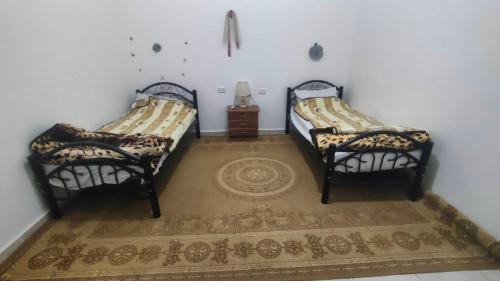 two twin beds in a room with a carpet at Idris home in Wadi Musa