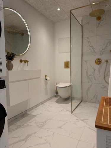 a bathroom with a toilet and a glass shower at Modern apartment in the heart of Tórshavn in Tórshavn