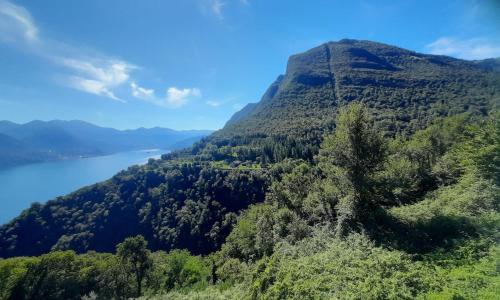 Paesaggio naturale nelle vicinanze dell'appartamento
