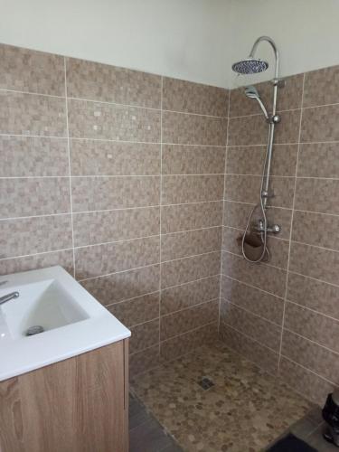a bathroom with a sink and a shower at Villa Lilisse in Le Moule