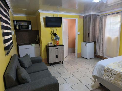 TV a/nebo společenská místnost v ubytování Acama Guest House