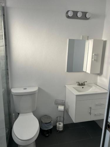 a bathroom with a white toilet and a sink at JC Apartment - One bedroom in Toa Baja