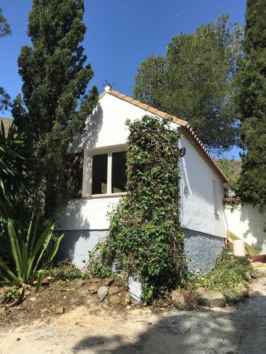 a white house with ivy growing on the side of it at La Careza De Mijas - Adults Only in Mijas