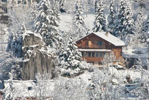 Three-star apartment in a family chalet