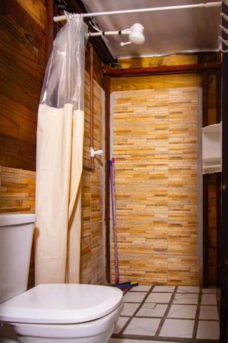 a bathroom with a toilet and a shower at Mística Chalés in São Thomé das Letras