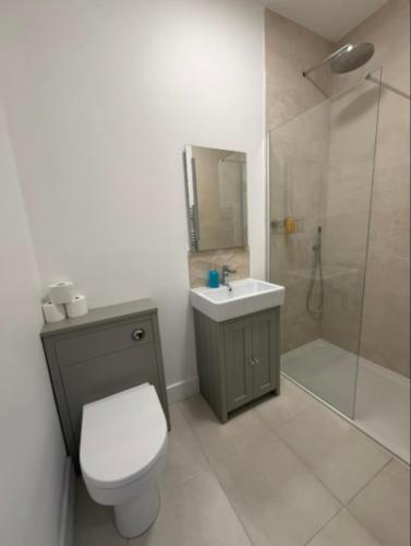 a bathroom with a toilet and a shower and a sink at Oak View at Moss Bank Farm in Wrexham