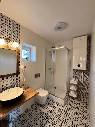 a bathroom with a shower and a toilet and a sink at Domki Baby Jagi in Krajno Pierwsze