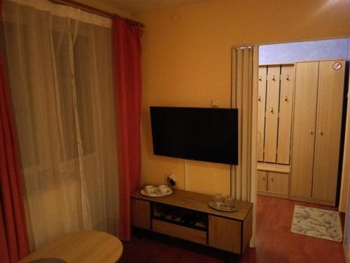 TV a/nebo společenská místnost v ubytování Guesthouse Bērzi