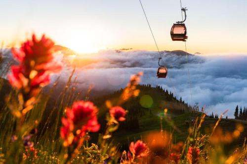 a couple of ski lifts flying over a mountain with flowers at LOGE Alta Crystal in Enumclaw