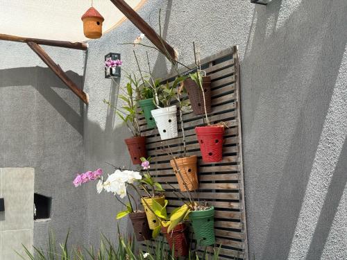 a group of potted plants on a wall at Suíte Porto das Dunas in Salvador