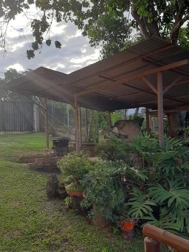 casa bambuzaにある庭