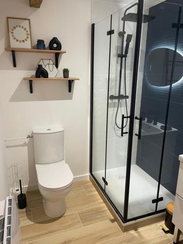 a bathroom with a toilet and a glass shower at Logement neuf tout équipé, climatisé, terrasse au calme, VELOS, barbecue, proche du bourg et des plages océanes, wifi, linge et ménage compris in Mimizan