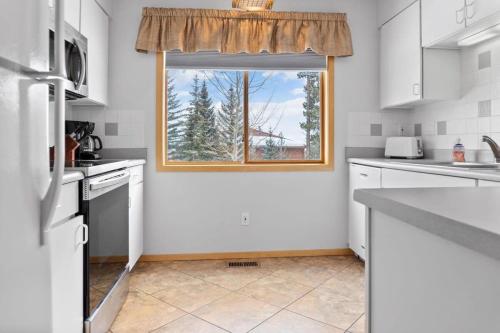 Kuchyň nebo kuchyňský kout v ubytování Cozy Frisco Condo Near Lake and Trails