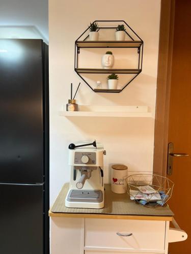 cocina con cafetera en una encimera junto a una nevera en Cozy apartment 5 min to the sea and airport, en Isola Sacra