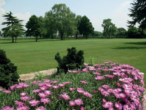 a bunch of pink flowers in a field at Villa Chiopris in Chiópris-Viscone
