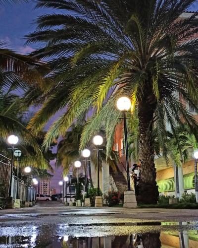 a street with palm trees and street lights at night at Casa Bote Con Vista a Los Canales De Lecheria Con Muelle Privado in Las Garzas