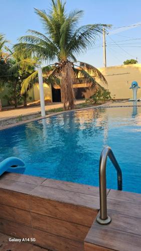a swimming pool with a palm tree in the background at sítio Menezes in Parnaíba
