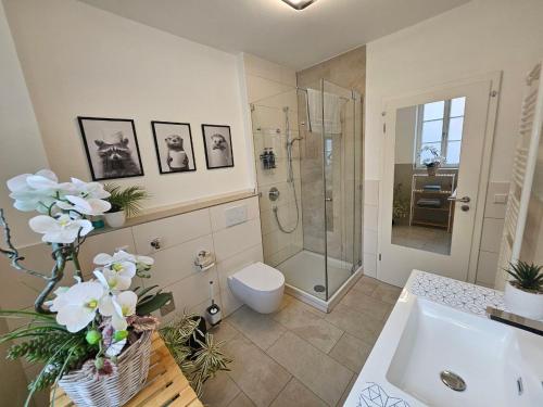 Un baño con ducha, inodoro y lavabo. en Herzstück, en Ansbach