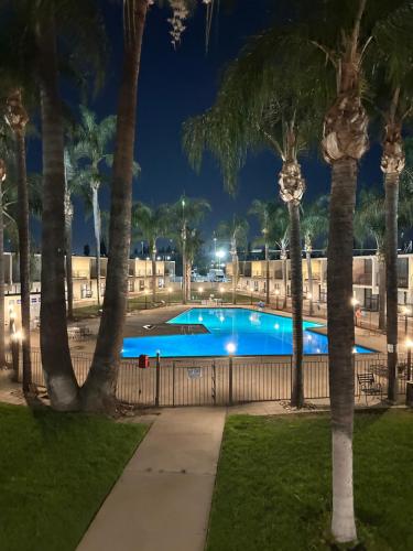 a swimming pool at night with palm trees at Valley Inn in Mission Hills