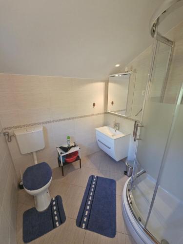a bathroom with a toilet and a sink and a shower at Apartmani Gracijela in Karlobag