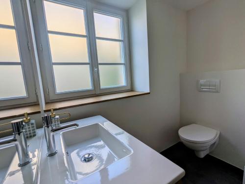 a bathroom with a sink and a toilet at La Bonne Ecole in Les Landes-Génusson