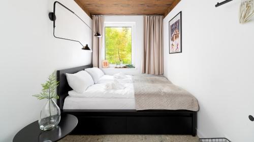 W Naturze - Apartament dla Aktywnych z Widokiem na Las, Szlaki, Rowery, Biegówki, blisko Jakuszyc i Czech