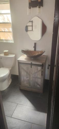 a bathroom with a sink and a toilet and a mirror at Brad's Desert Inn in Holbrook