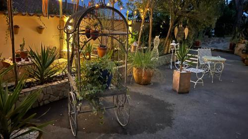 a garden with plants and chairs and a bike at Chambre (salle de bain privée), piscine, jardin, parking in Anglet