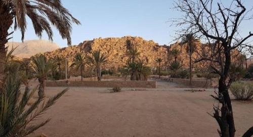 Un gran patio con palmeras y una montaña. en Camping Granit Rose, en Tafraoute