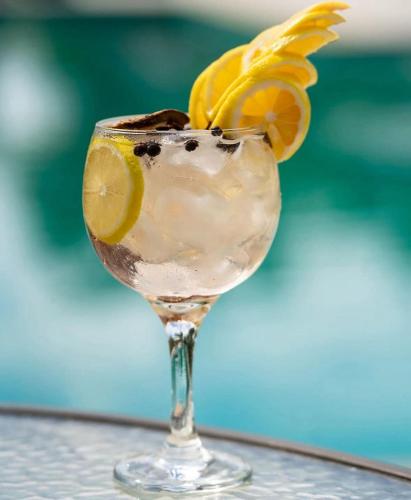 a drink in a wine glass with a lemon slice at Hotel Villa Balidendê in Barra Grande