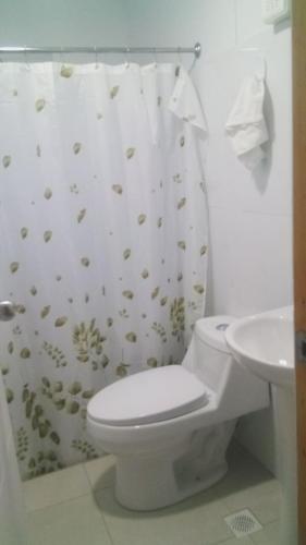 a bathroom with a toilet and a shower curtain at Los Teros in Chile Chico