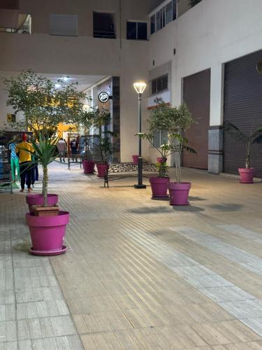 a group of potted trees in pots in a building at Luxury & elegant Apartment, Parc Serenity in Mohammedia