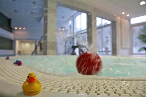 a rubber duck in a swimming pool with a ball at Hotel des Nordens Flensburg Wellness & Spa in Flensburg