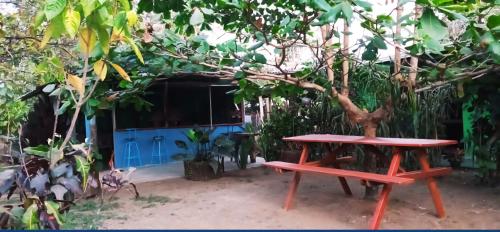 Un jardín fuera de Marea Viajera - Hostal