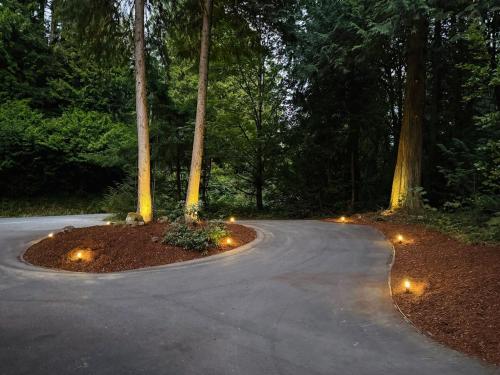 a winding road in the middle of a forest with lights at The Mossy Nook A Cozy Escape in the Woods! in Issaquah