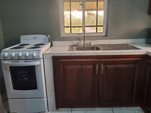a kitchen with a stove and a sink at Apartamento acogedor, minutos de Playa Camaguey #5 in Puerto Cortes