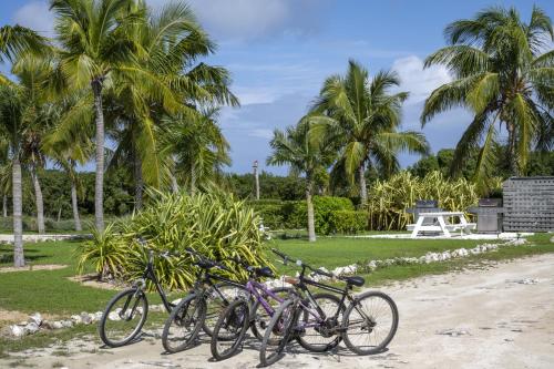 a group of bikes parked on a beach with palm trees at Buttonwood Reserve Main Lodge home in James Cistern