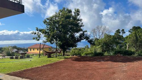 a house with a tree and a dirt yard at Biscoitos Top View in Biscoitos