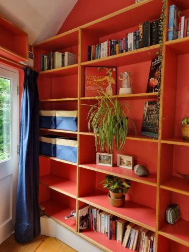 a book shelf filled with books at Rose's Studio, Bucks Mills in Bideford