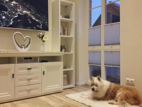 Haiwan peliharaan atau haiwan-haiwan peliharaan yang menginap dengan tetamu di holiday apartment