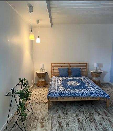 a bedroom with a bed with blue pillows and a tripod at Casa da Oliveira in Melides