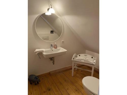 a bathroom with a sink and a mirror at Luxurious holiday home Room No 7 in Tating
