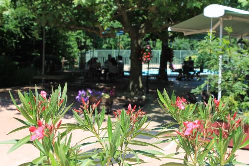 a group of flowers in a park with a tree at Hôtel Restaurant Le Moulin de Saint Verand in Saint-Vérand