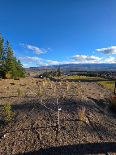 a plant in the middle of a field at Modern studio overlooking Alexandra, Central Otago in Alexandra