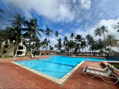 a swimming pool with chairs and palm trees at Alquilo apartamento vacacional en tucacas in Tucacas