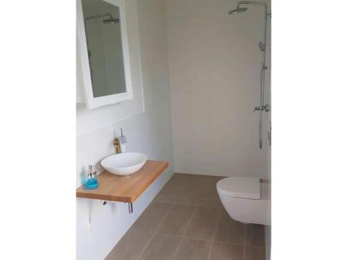 a bathroom with a sink and a toilet at Holiday home in Harrislee with barbecue in Harrislee