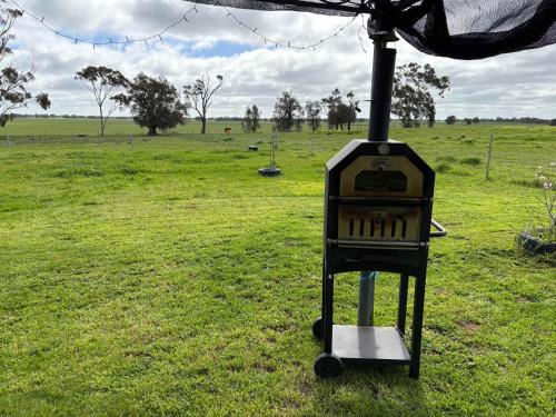 a bird feeder sitting in a field of grass at Avondale Heights by Tiny Away in Banyena