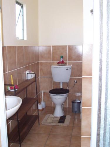 a bathroom with a toilet and a sink at Etango Ranch Guest Farm in Voigtland
